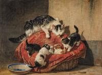 Cat with Kittens
