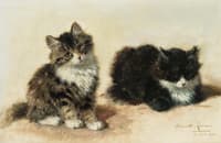 Banjo and His Brother