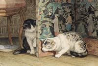 Cats Playing Around a Japanese Screen