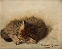Sleeping Kitten