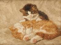 Kittens