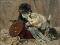 Kittens Playing with a Jewel Box
