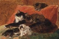 Cat with Kittens