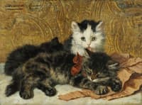 Three Kittens