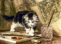 Kitten at Play