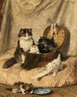Kittens at Play