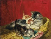 Kittens playing with a fan