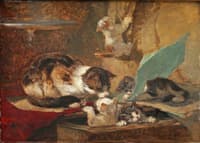 Cat Playing with Her Kittens