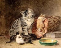 Cat with kittens