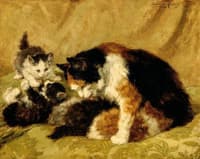 Cat with kittens