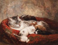 Mother cat with four kittens
