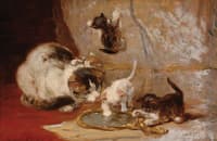 Mother cat with three playing kittens