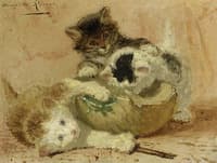 Playful Kittens