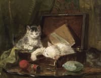Playful kittens in a sewing box
