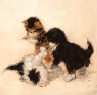 Playing kittens