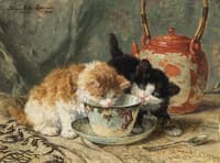 Teatime