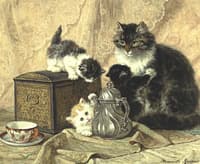Teatime for Kittens