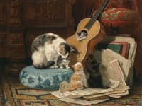 The Guitar Lesson