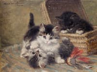 Three playful kittens