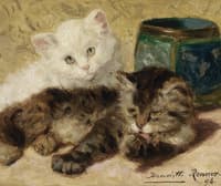Two kittens