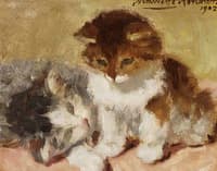 Two kittens