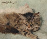 Two sleeping kittens