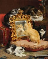 cats at play