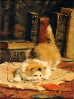 chat aux lunettes