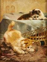 chatons aux lunettes