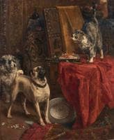 chiens et chat