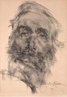 The Philosopher
