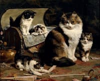 les chats sur sa toile d'origine