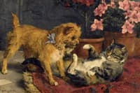 les deux amis