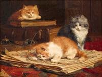 petits curieux