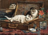 the art lovers