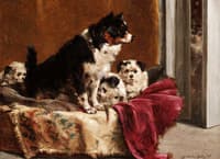 the surprise visit