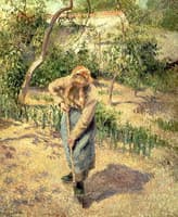 Woman Digging in Orchard