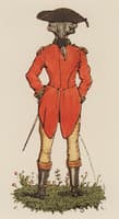 Book of the Marquise. Illustration