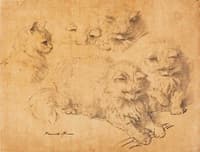 Studies of Kittens