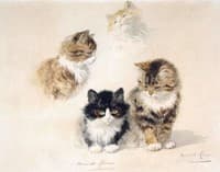 Study of Four Kittens