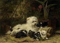 A Cairn Terrier and Her Puppies