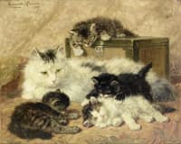A Happy Mother