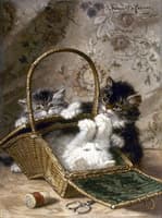 The Sewing Basket