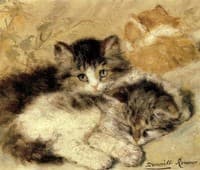 A Nest of Kittens