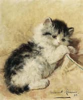 A Playful Kitten