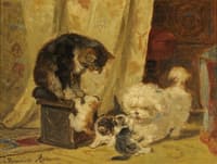 A Terrier Playing with Kittens