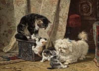 A Terrier Playing with Kittens