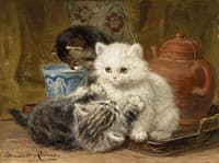 Afternoon Tea