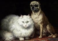 Best Friends