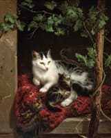 Cat with Kitten